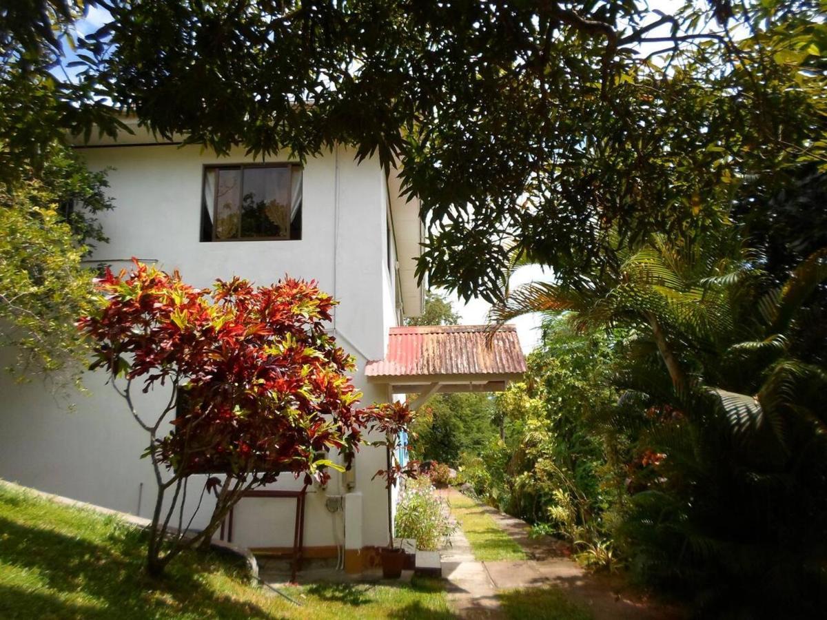 Gigi'S Self Catering Apartment Port Glaud Buitenkant foto