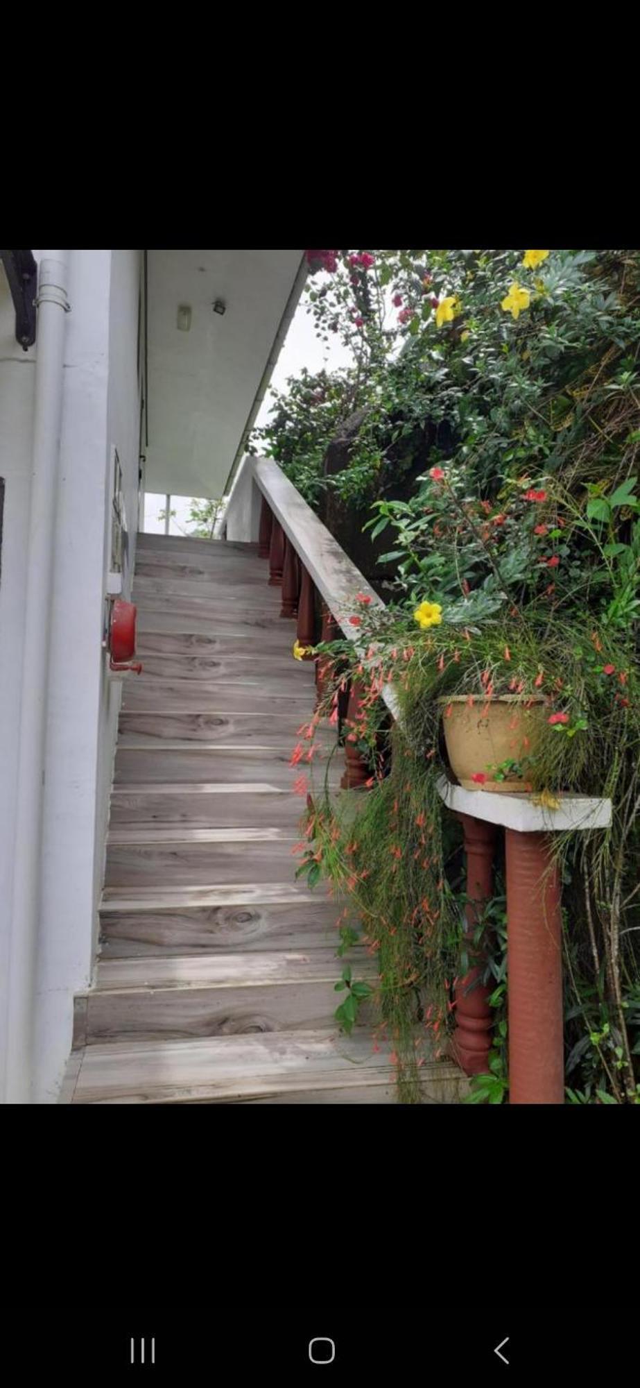 Gigi'S Self Catering Apartment Port Glaud Buitenkant foto